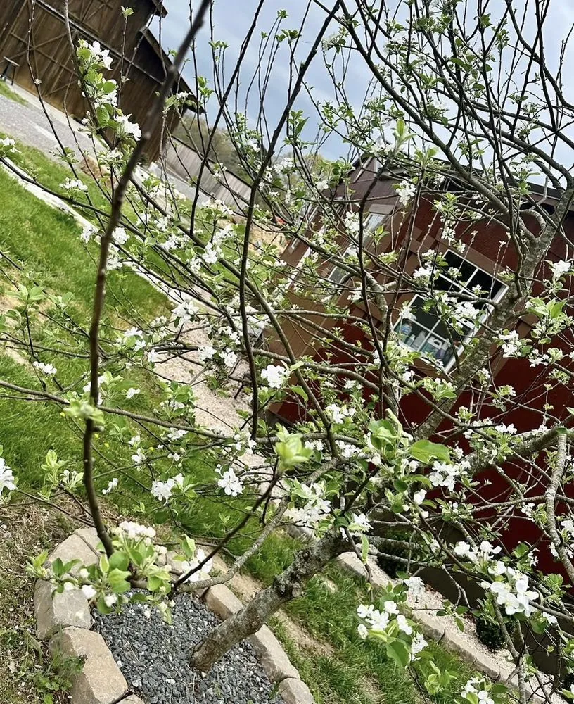 Expert landscaping services in Loudon, TN - Southern Mulch Company