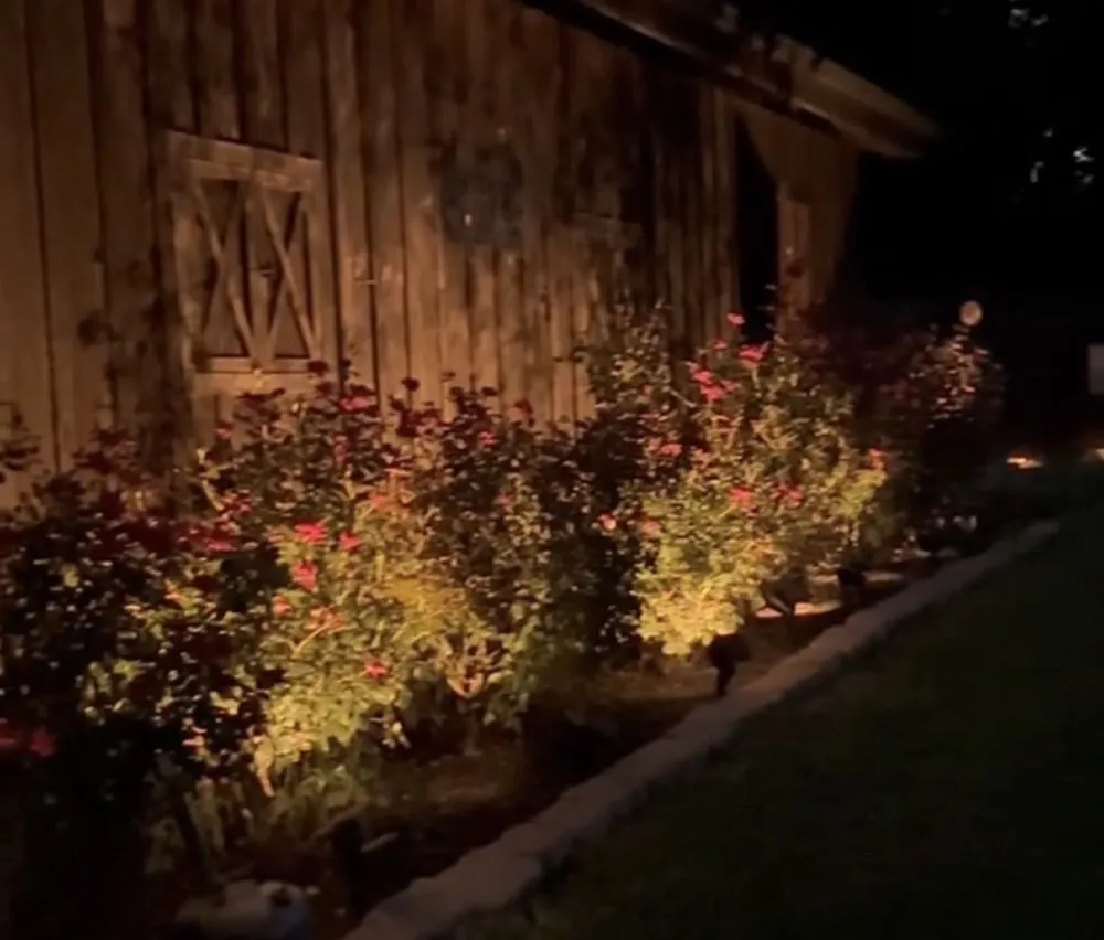 Professional yard cleanup service in Loudon, TN by Southern Mulch Company