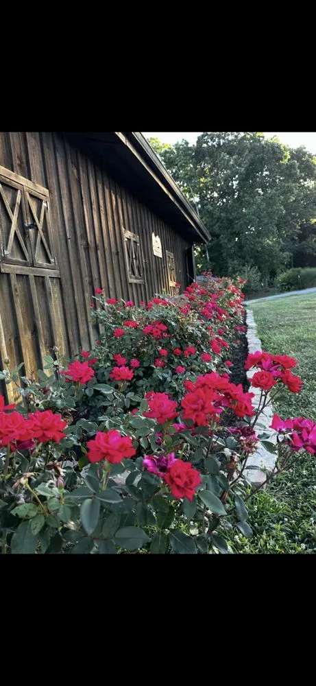 Custom outdoor landscaping in Loudon, TN by Southern Mulch Company