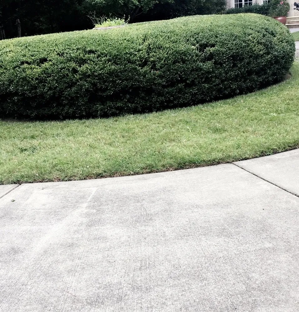 Local landscape design for homes across Butner, NC - Southern Oaks