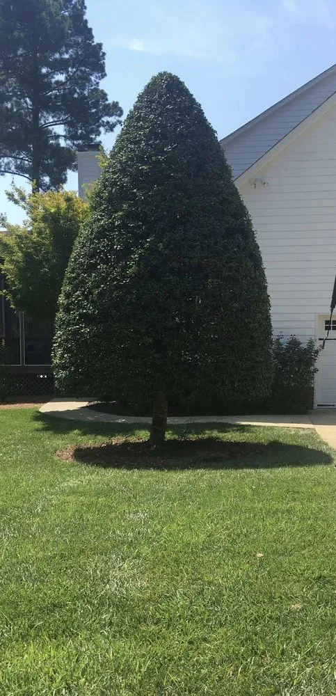 Reliable outdoor landscaping in Butner, NC by Southern Oaks