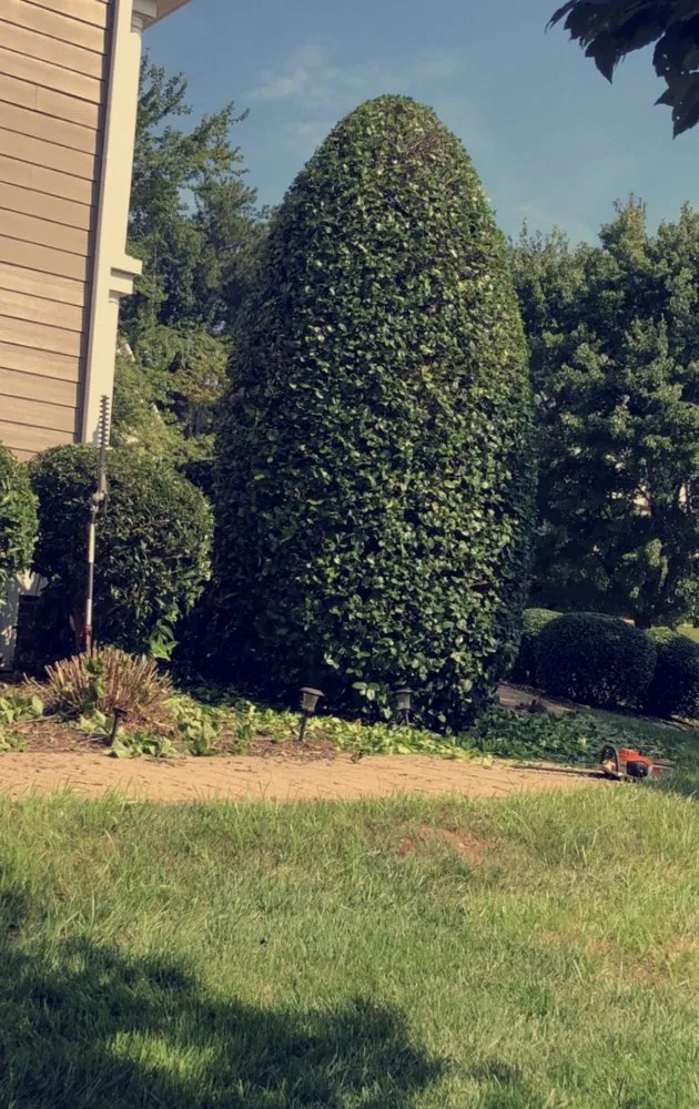 Professional lawn care service for homes across Butner, NC - Southern Oaks