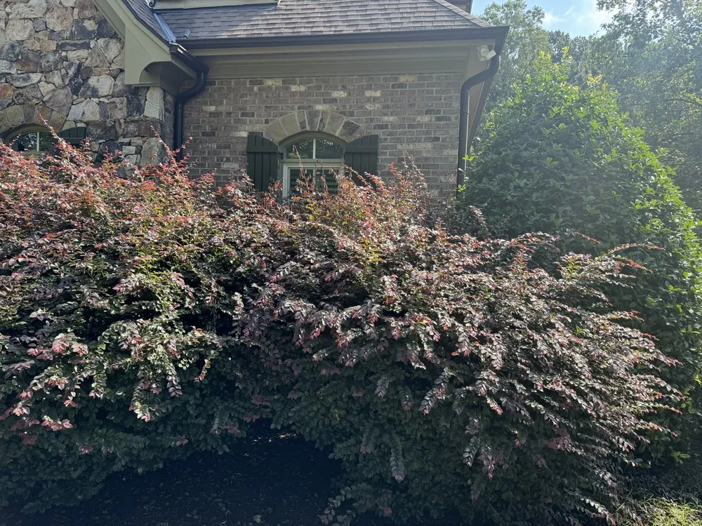 Local landscaping services experts serving Butner, NC - Southern Oaks