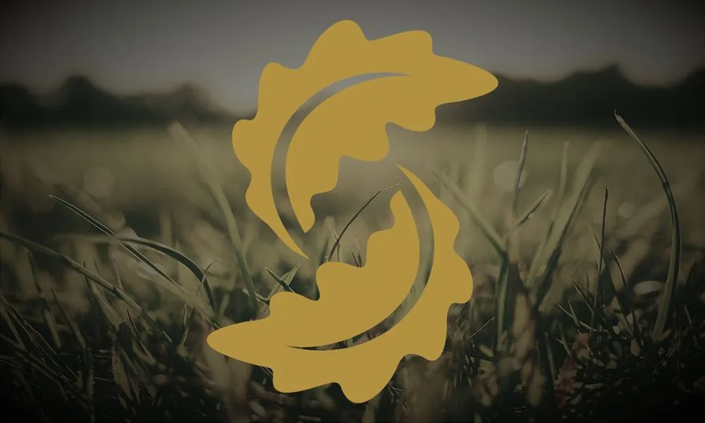 Trusted landscaping services in Fayetteville, GA - Southern Oaks Lawn Care