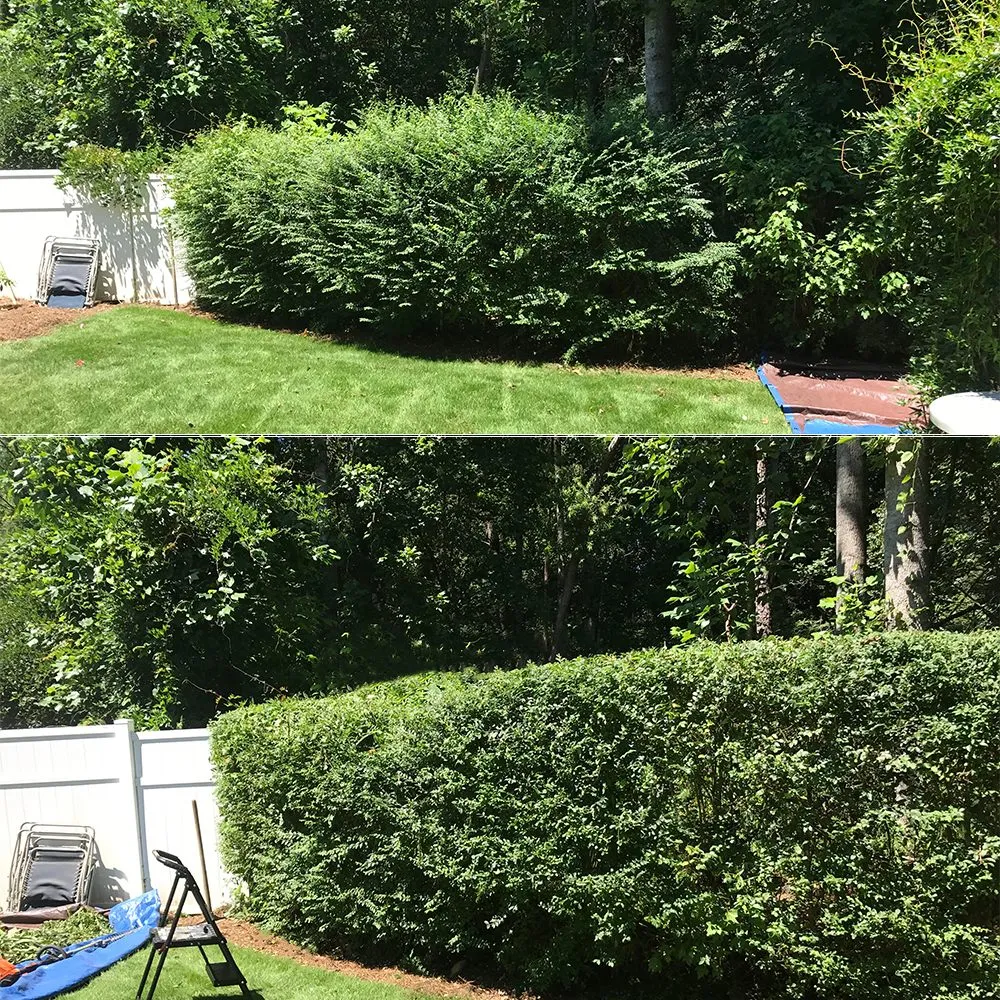 Custom outdoor landscaping in Fayetteville, GA by Southern Oaks Lawn Care