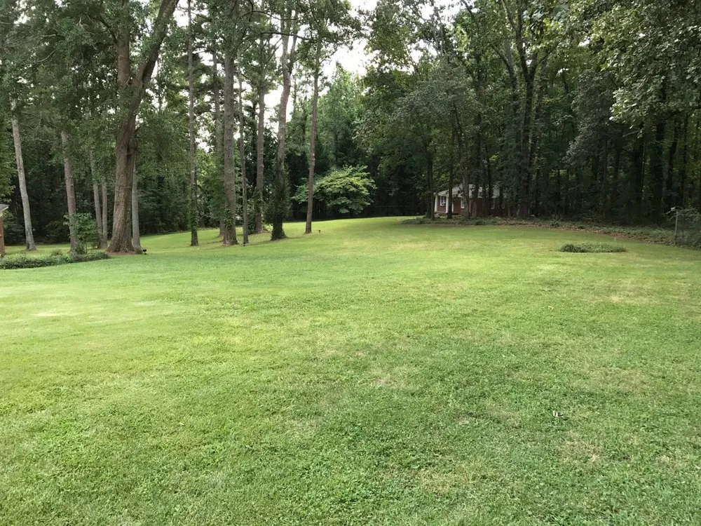Professional landscaping services in Fayetteville, GA by Southern Oaks Lawn Care