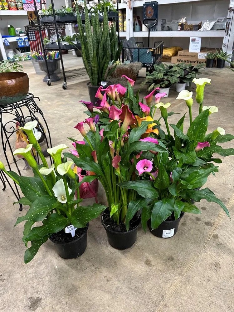 Top-rated landscape installation in Smiths Station, AL - Southern Oaks Nursery & Landscaping