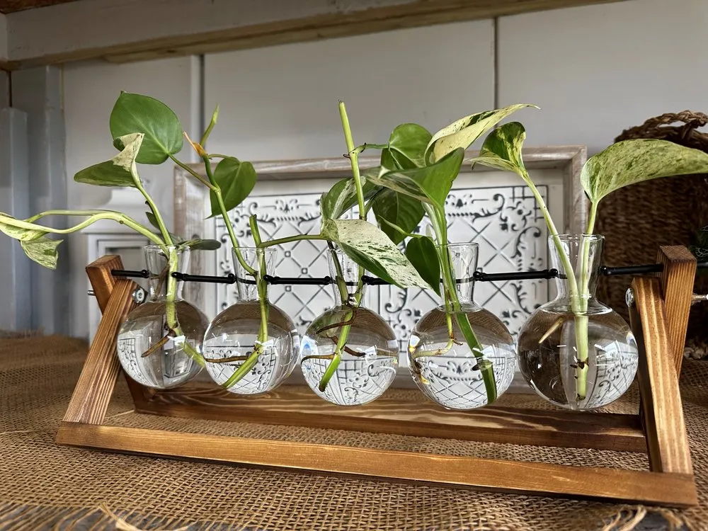 Trusted residential landscaping in Smiths Station, AL by Southern Oaks Nursery & Landscaping