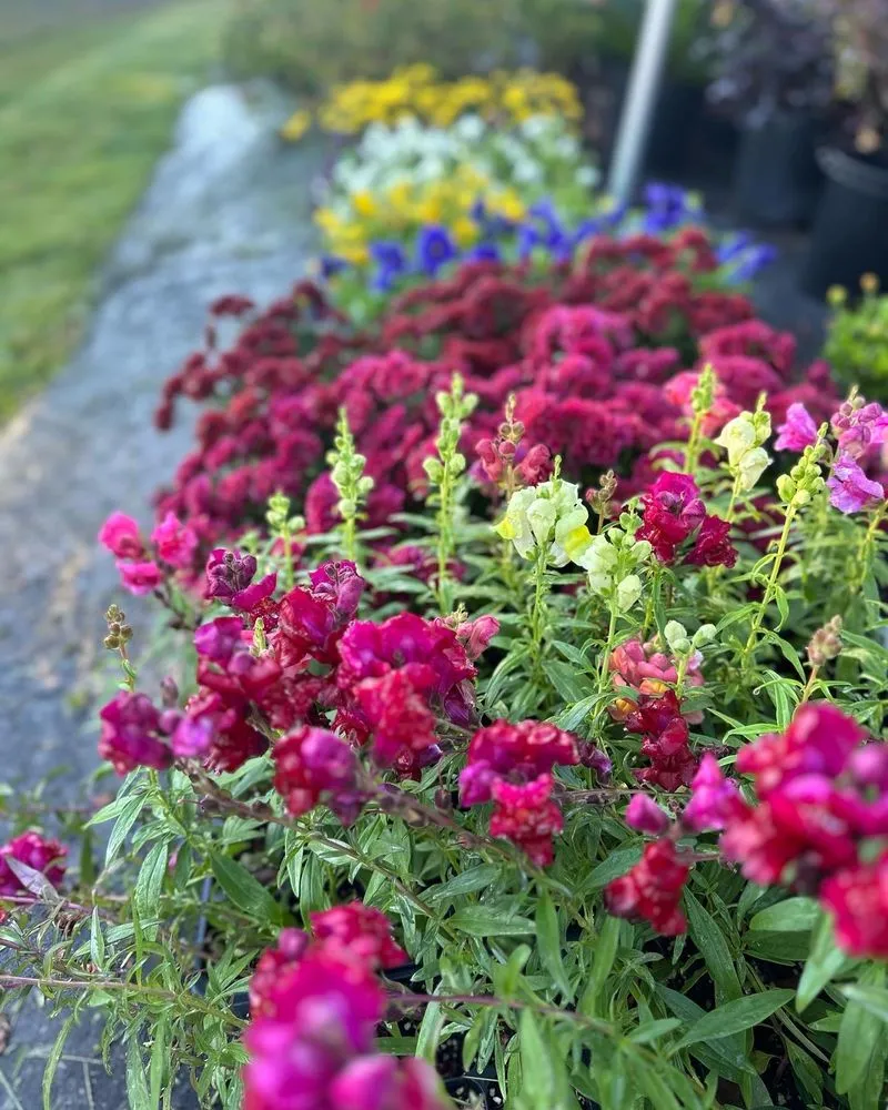 Expert yard maintenance for outdoor upgrades in Smiths Station, AL by Southern Oaks Nursery & Landscaping