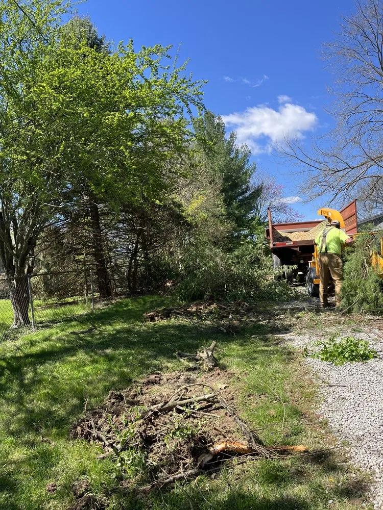 Top-rated yard cleanup service in Fayetteville, OH by Southern Ohio Ground Works