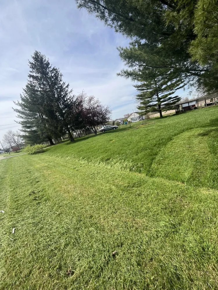 Local yard cleanup service experts serving Fayetteville, OH - Southern Ohio Ground Works