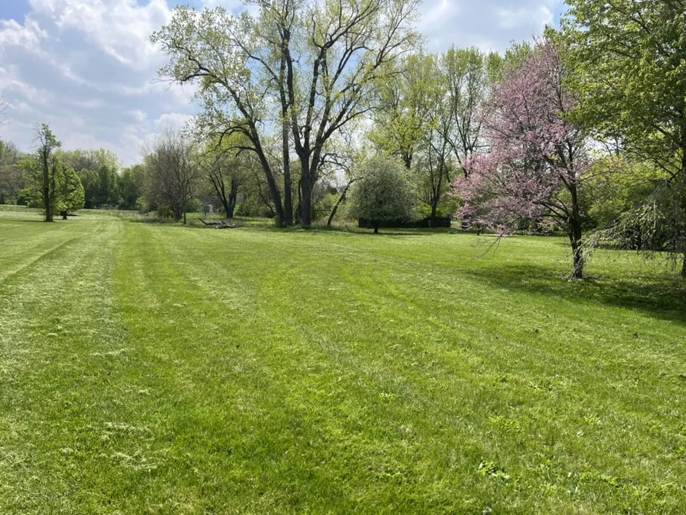 Expert yard cleanup service in Greenfield, OH - Southern Ohio lawn Care