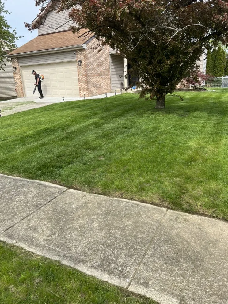 Top-rated lawn care service in Greenfield, OH by Southern Ohio lawn Care