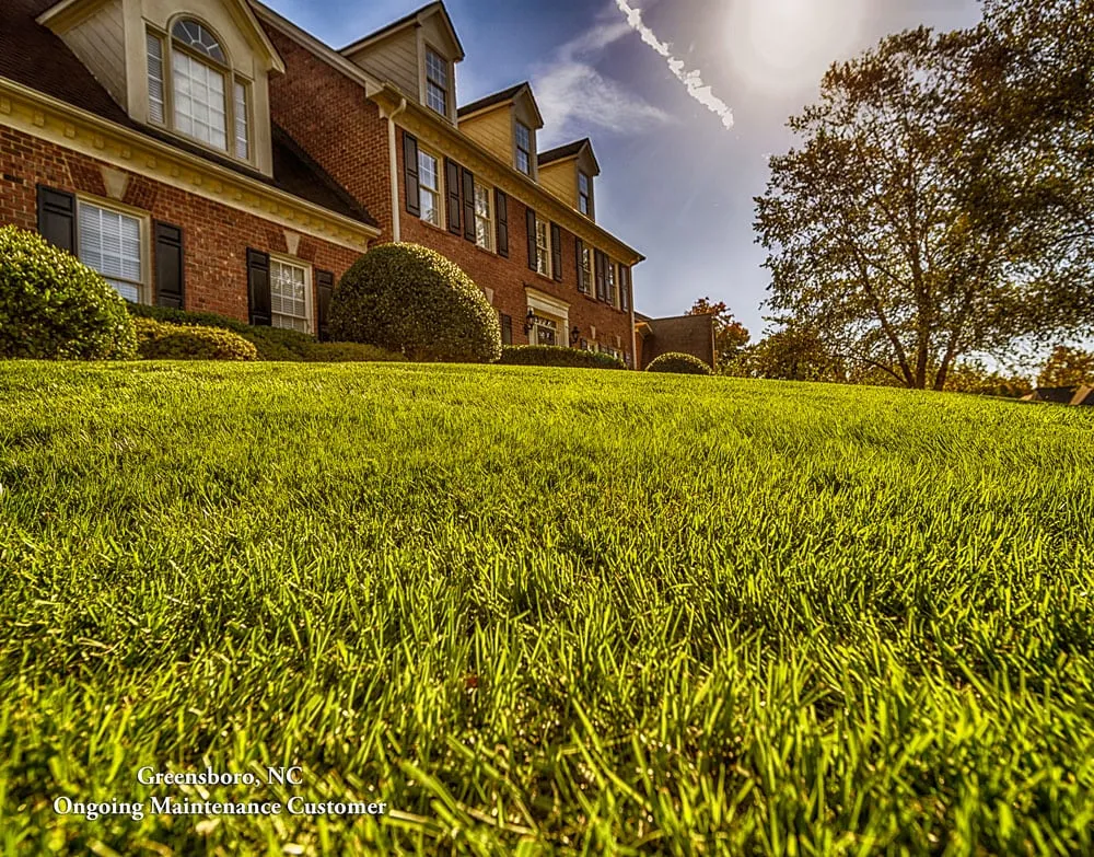 Local lawn care service in Summerfield, NC by Southern Outdoor Living