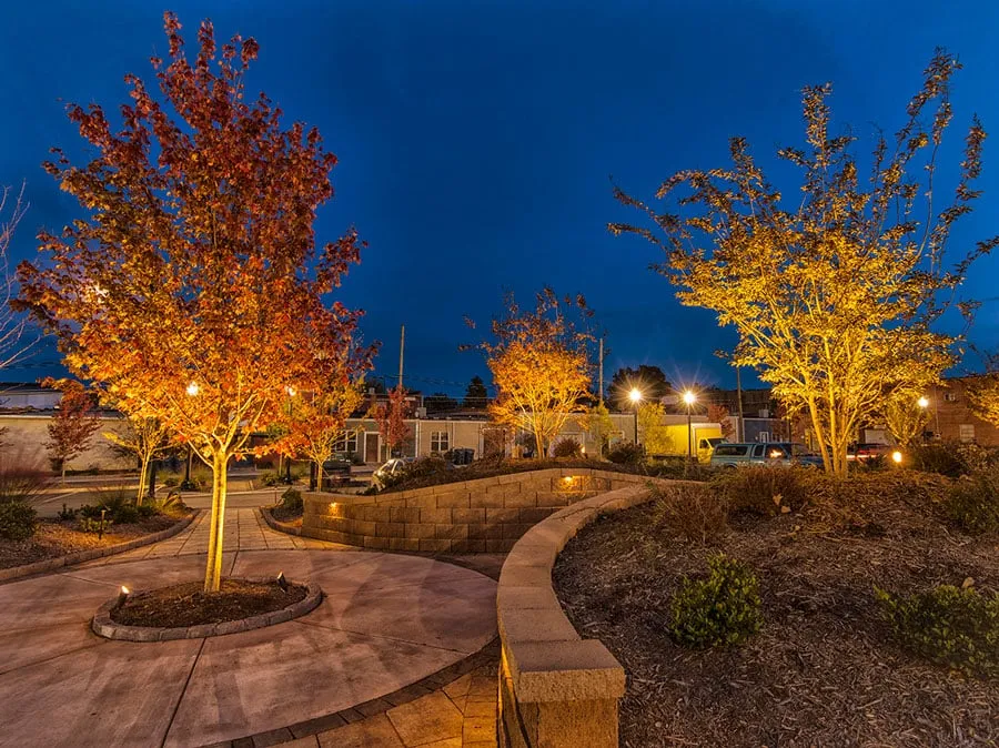 Trusted residential landscaping for year-round maintenance in Summerfield, NC by Southern Outdoor Living