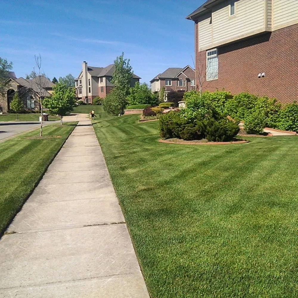 Trusted yard maintenance near you across Cordova, TN - Southern Outdoor Services