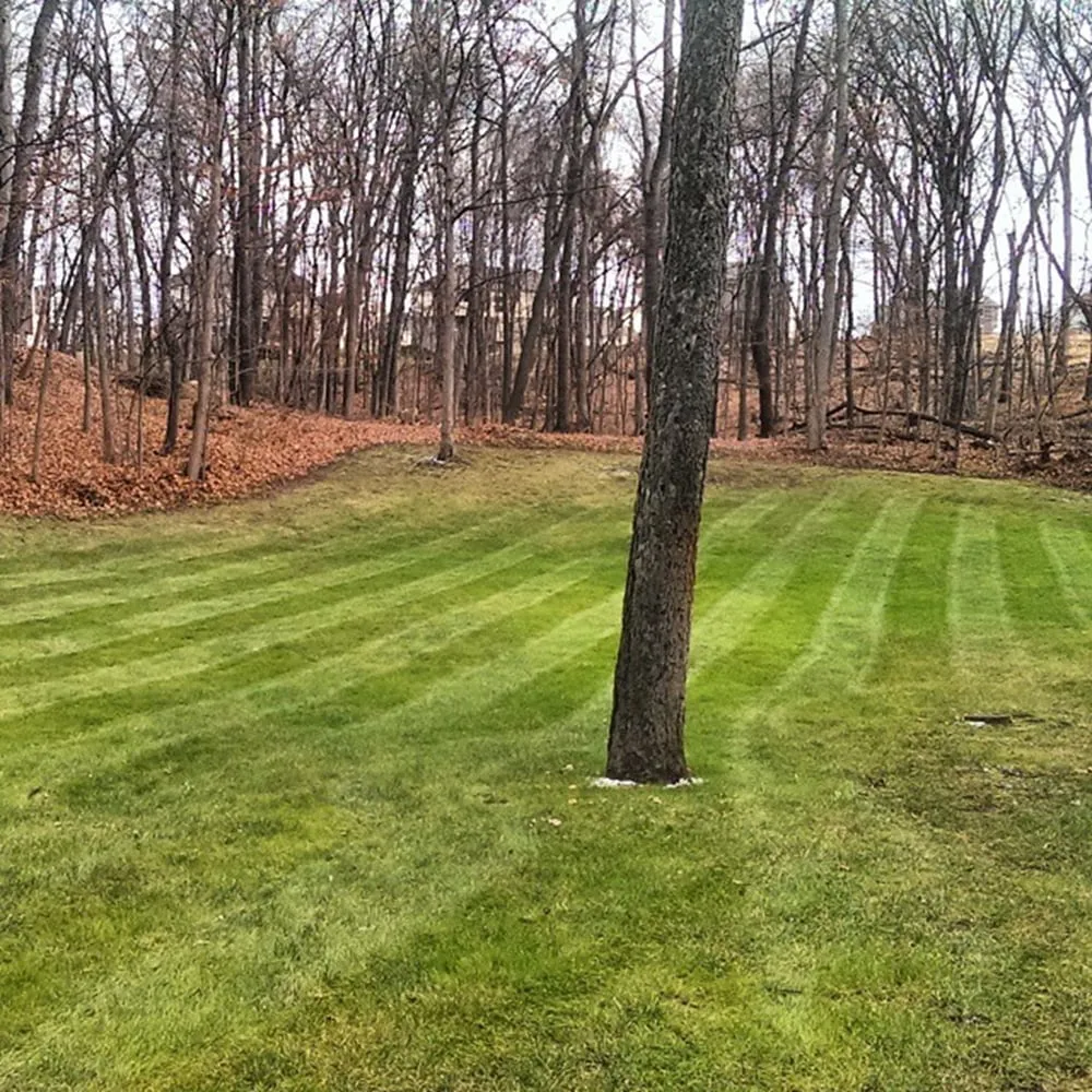 Top-rated outdoor landscaping for residential properties in Cordova, TN by Southern Outdoor Services