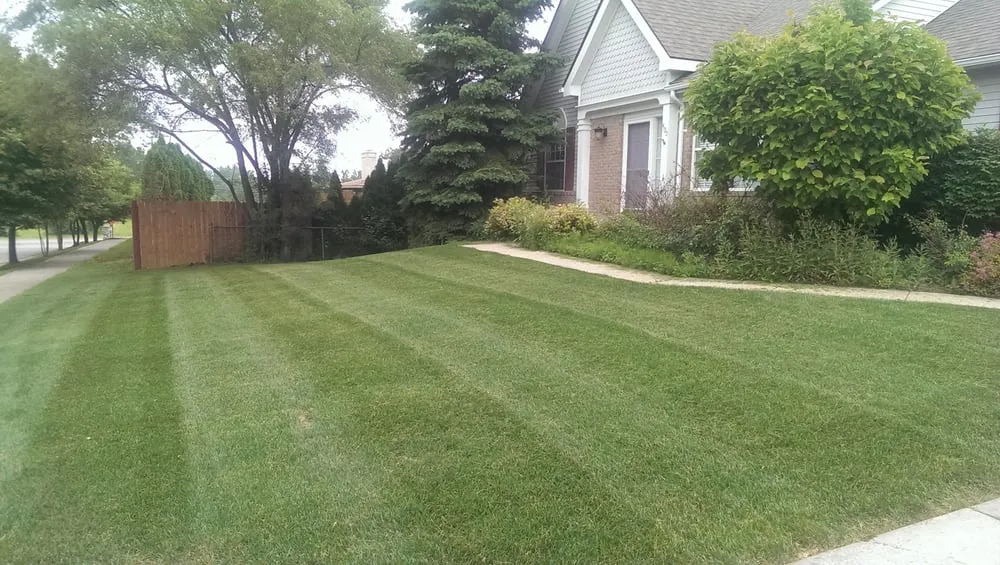 Professional outdoor landscaping in Cordova, TN by Southern Outdoor Services