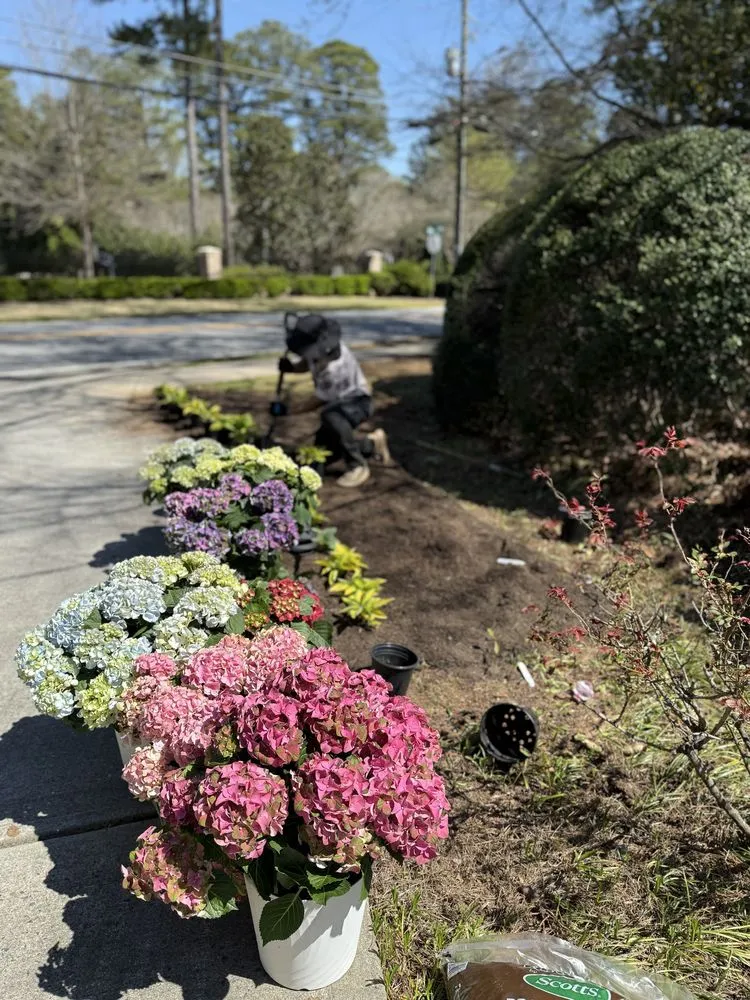 Affordable yard cleanup service with custom design in Marietta, GA by Southern Outdoor Solutions