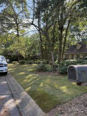 Southern Outdoor Solutions Logo