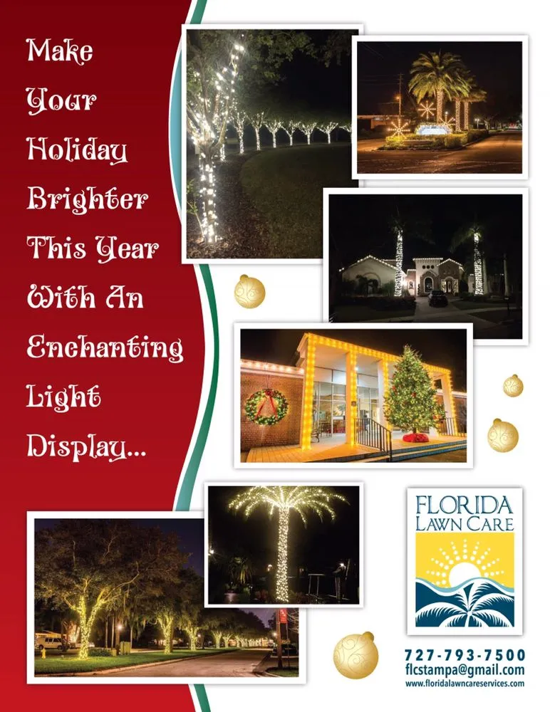 Top-rated lawn care service experts serving Tampa, FL - Southern Outdoors