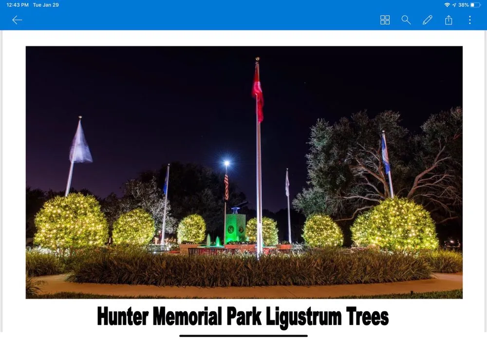 Reliable yard maintenance in Tampa, FL by Southern Outdoors