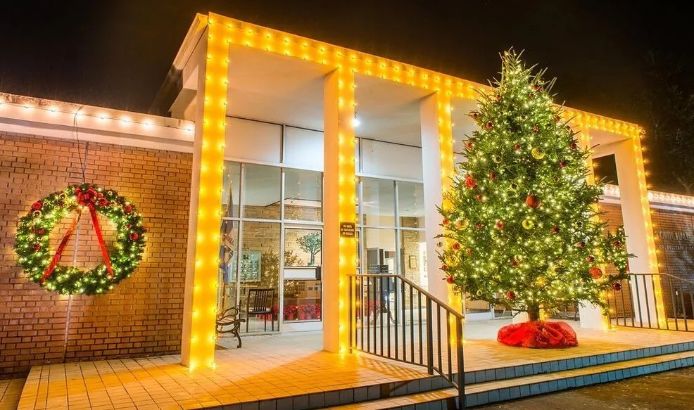 Reliable yard maintenance for residential properties across Tampa, FL - Southern Outdoors