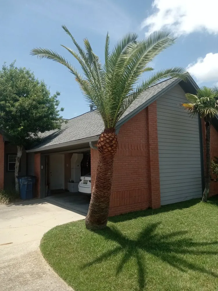 Professional yard cleanup service experts serving Panama City, FL - Southern Outdoorz Services