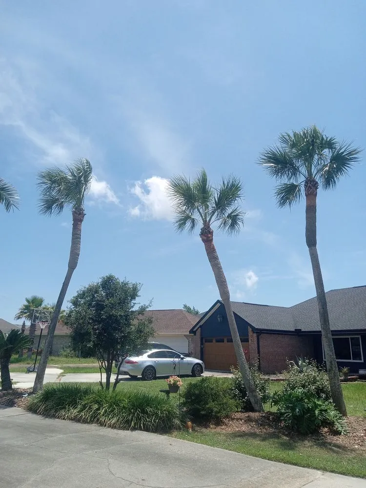 Affordable yard maintenance in Panama City, FL by Southern Outdoorz Services