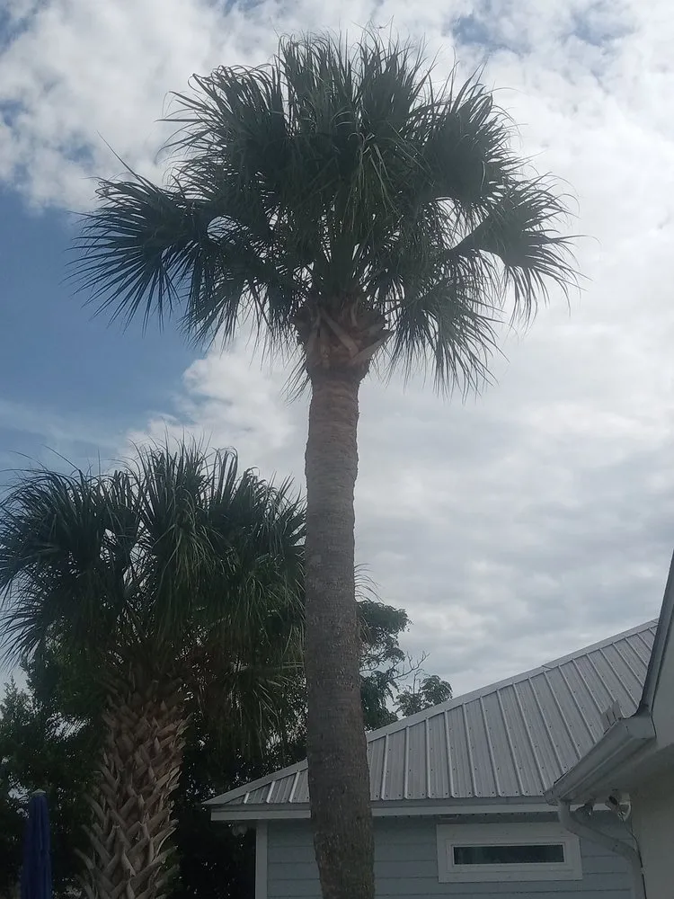 Affordable lawn care service experts serving Panama City, FL - Southern Outdoorz Services