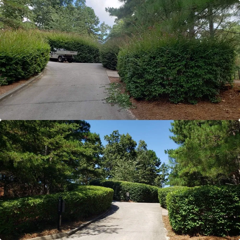Affordable residential landscaping in Dacula, GA by Southern Ox Landscaping