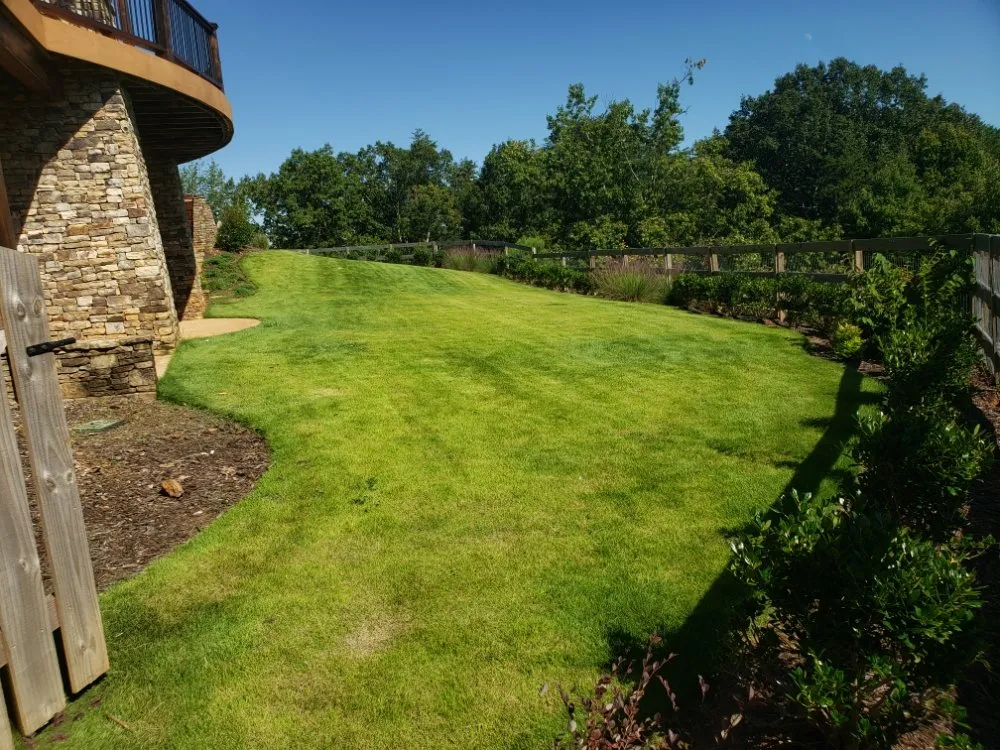 Expert yard cleanup service in Dacula, GA by Southern Ox Landscaping