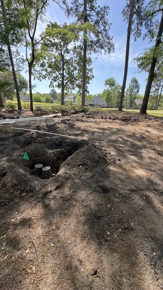 Reliable yard cleanup service for year-round maintenance in Charleston, SC by Southern Palms Landscaping