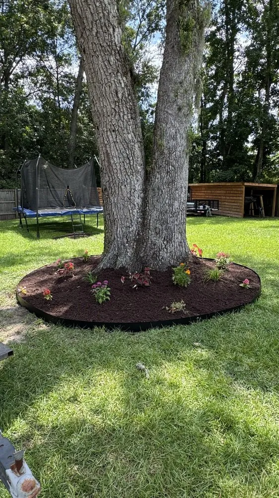 Custom residential landscaping near you in Charleston, SC by Southern Palms Landscaping