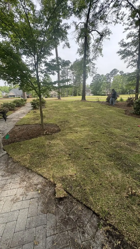 Affordable outdoor landscaping for homes in Charleston, SC by Southern Palms Landscaping