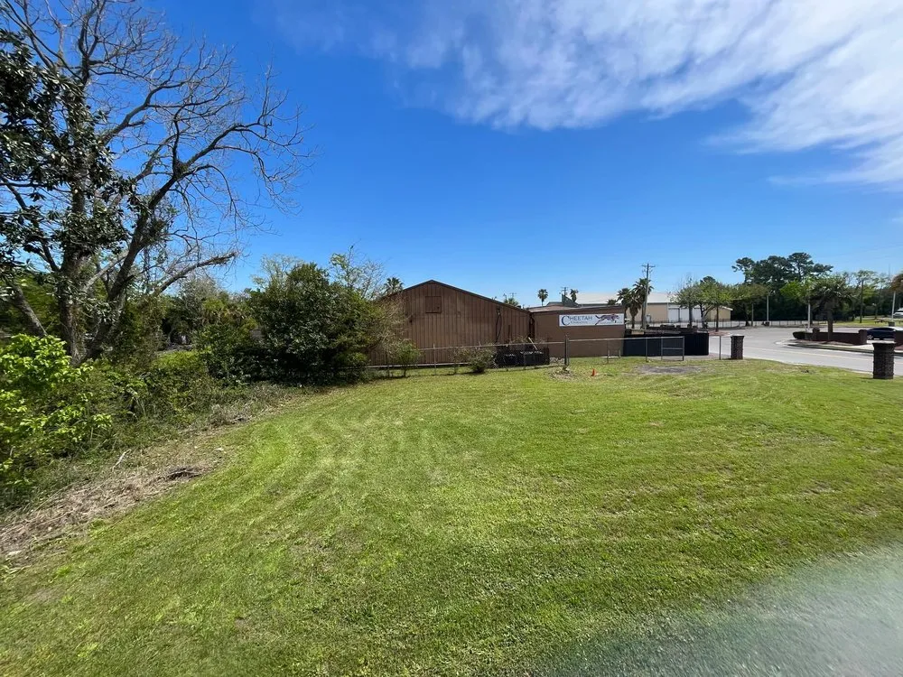 Top-rated residential landscaping experts serving Charleston, SC - Southern Palms Landscaping