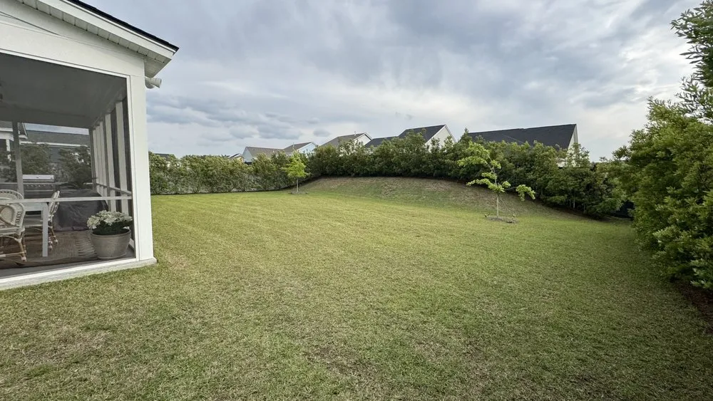 Custom lawn care service in Charleston, SC - Southern Palms Landscaping