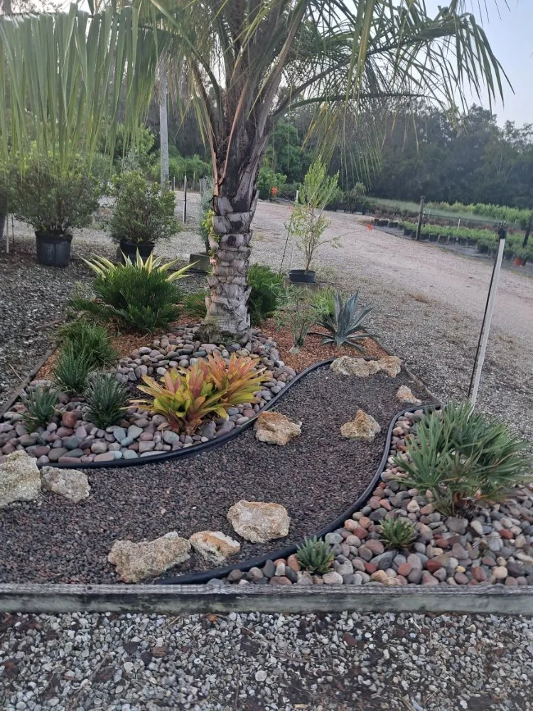 Local landscape design for residential properties across Lake Placid, FL - Southern Paradise Landscaping