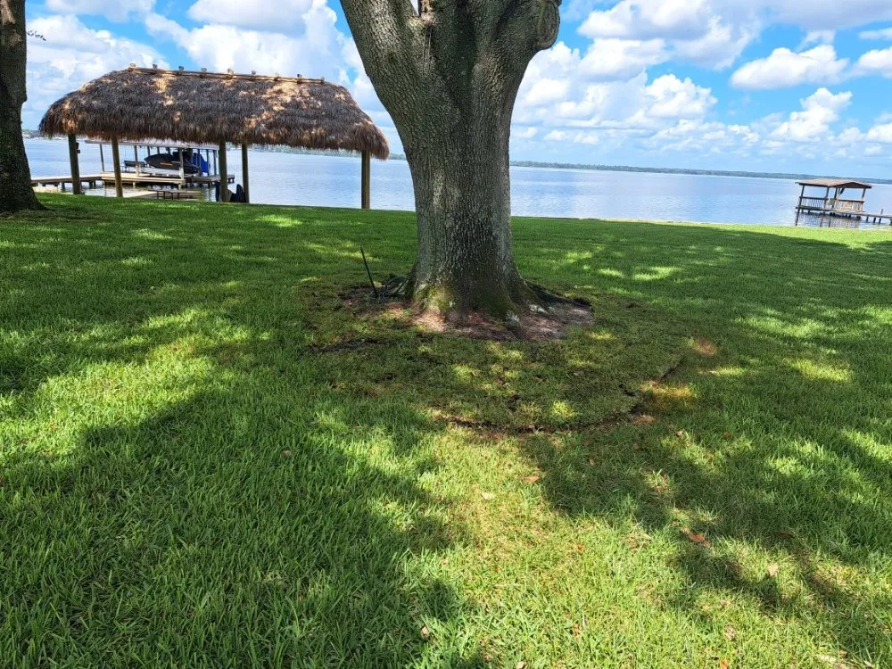 Top-rated residential landscaping for beautiful yards across Lake Placid, FL - Southern Paradise Landscaping