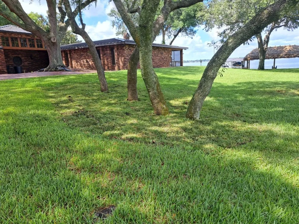 Trusted lawn care service with custom design across Lake Placid, FL - Southern Paradise Landscaping