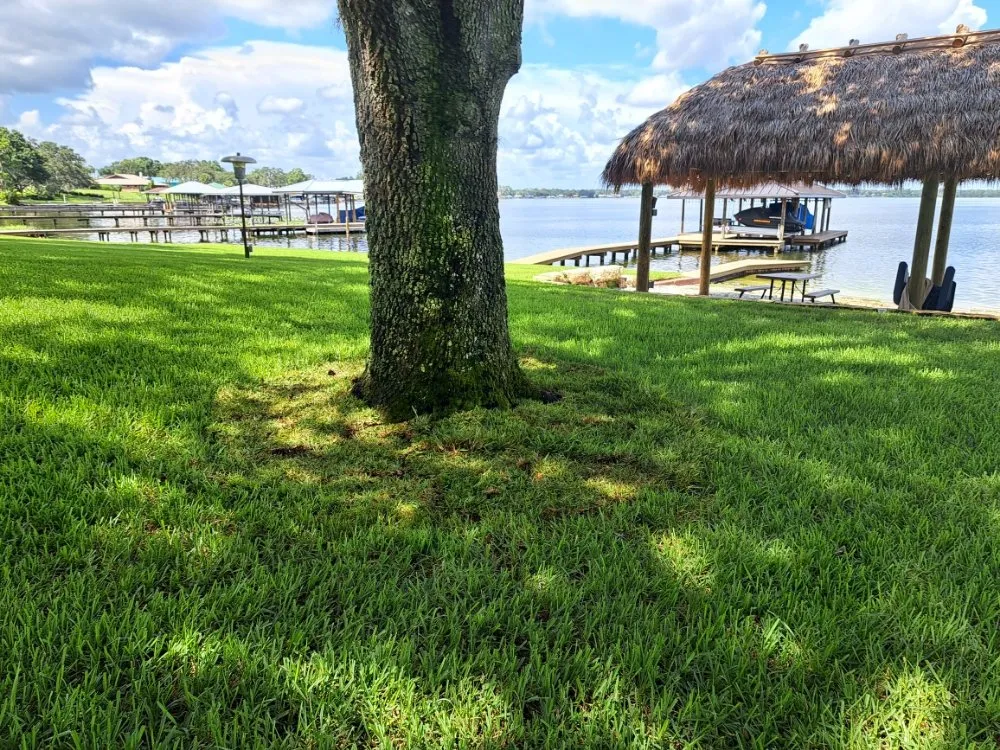 Professional yard maintenance in Lake Placid, FL - Southern Paradise Landscaping