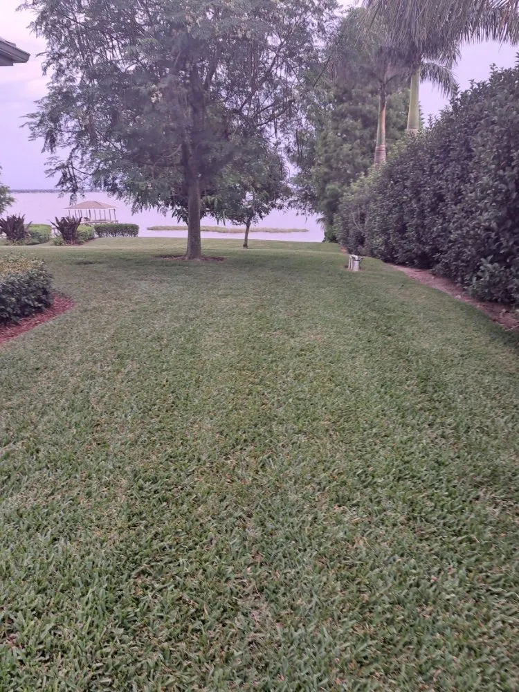 Expert lawn care service for beautiful yards in Lake Placid, FL by Southern Paradise Landscaping