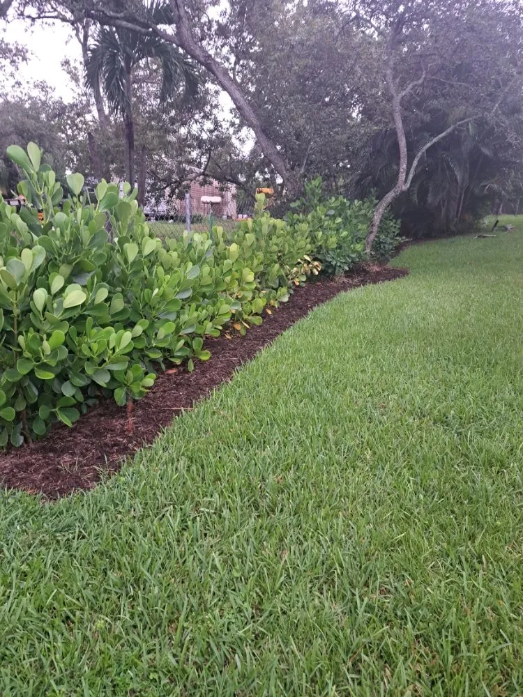 Affordable landscape design with custom design in Lake Placid, FL by Southern Paradise Landscaping
