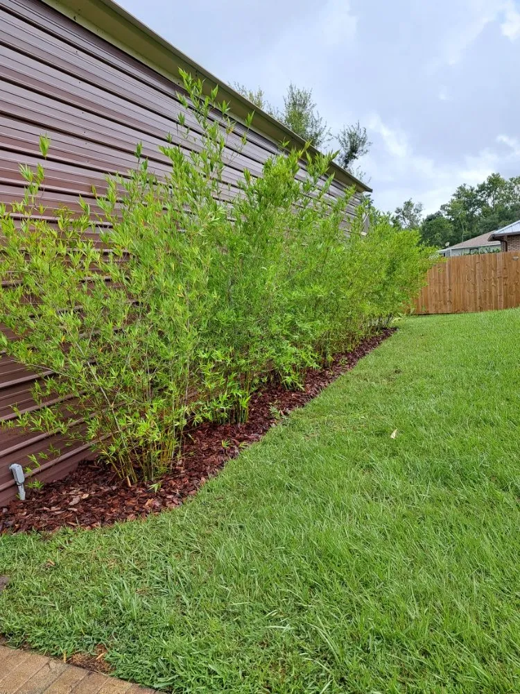 Top-rated landscape design for residential properties across Lake Placid, FL - Southern Paradise Landscaping