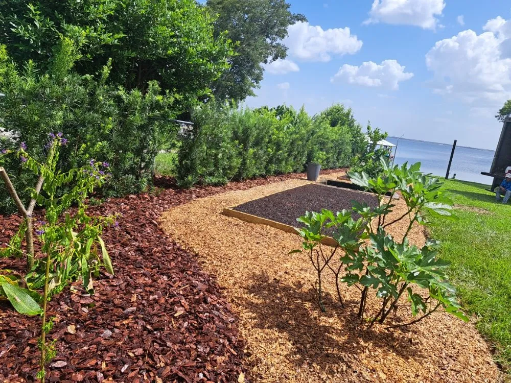 Affordable lawn care service near you across Lake Placid, FL - Southern Paradise Landscaping