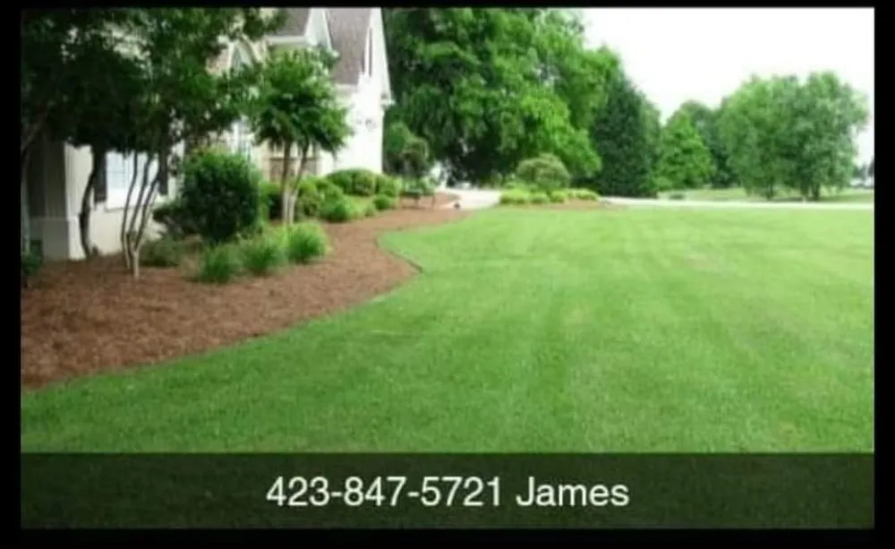 Expert landscape installation for beautiful yards in Graysville, TN by Southern Patriot Landscaping