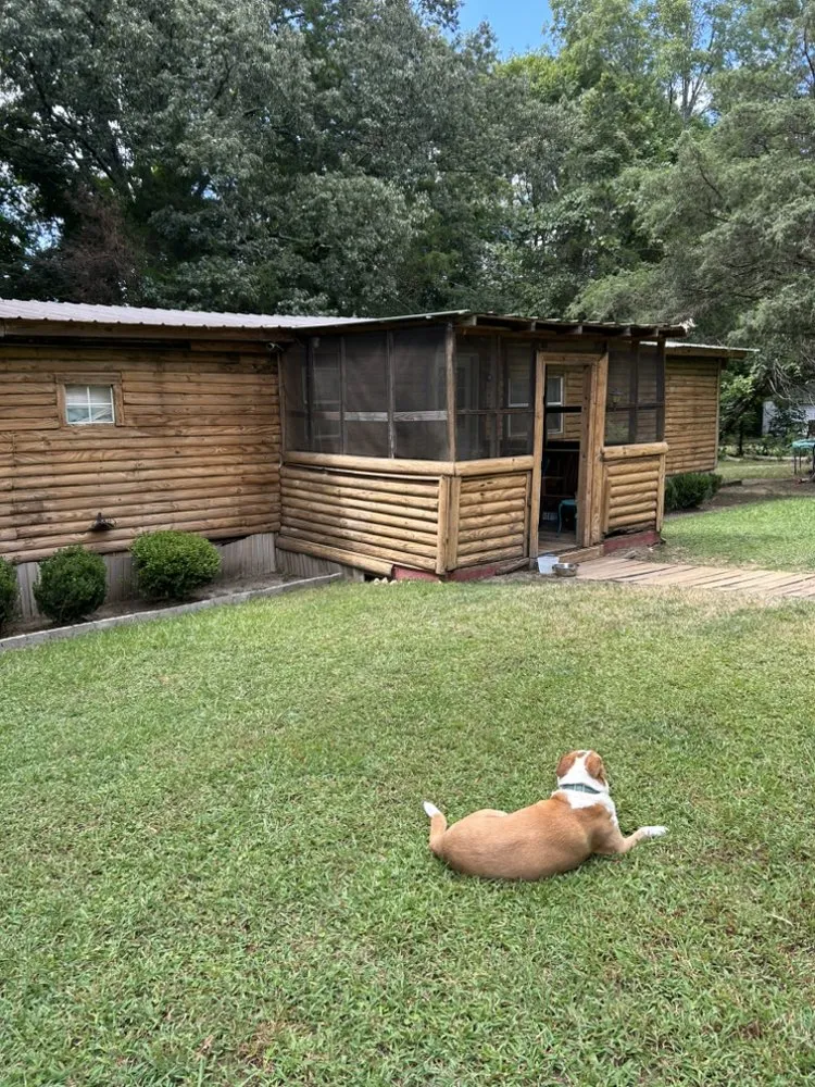 Custom yard maintenance for homes in Mooreville, MS by Southern Perfection Landscaping