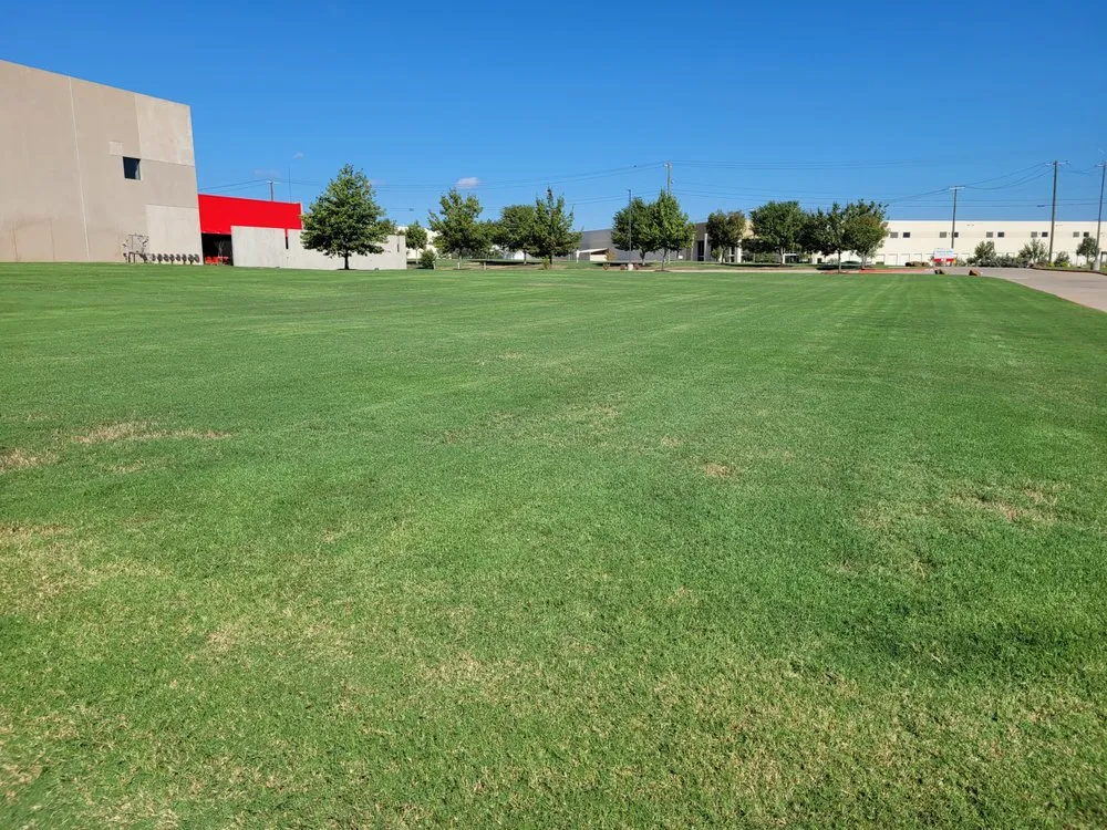 Custom yard maintenance experts serving waxahachie, TX - Southern Pine Mowing