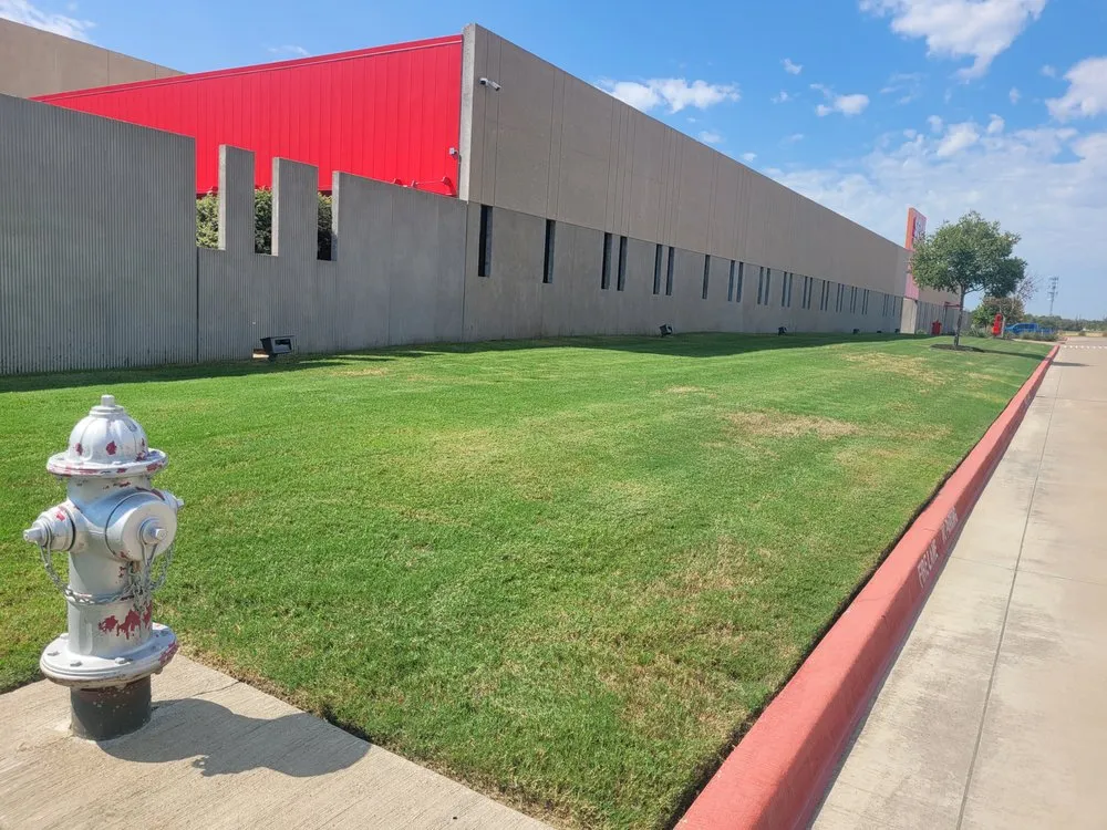 Local yard cleanup service in waxahachie, TX by Southern Pine Mowing