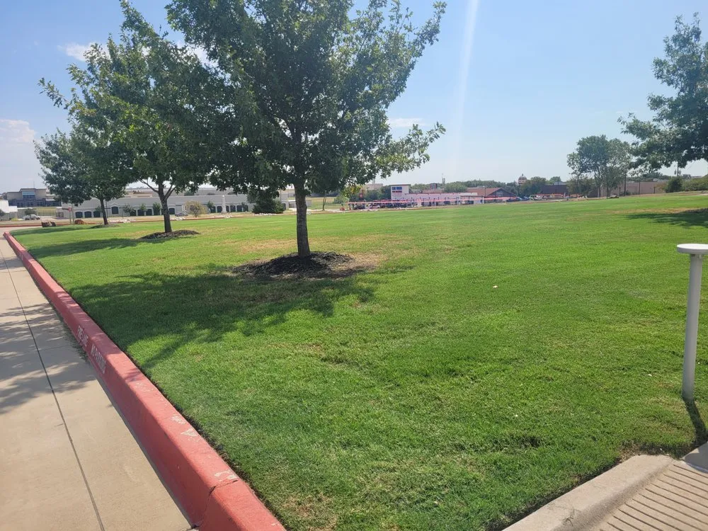 Affordable lawn mowing service in waxahachie, TX - Southern Pine Mowing